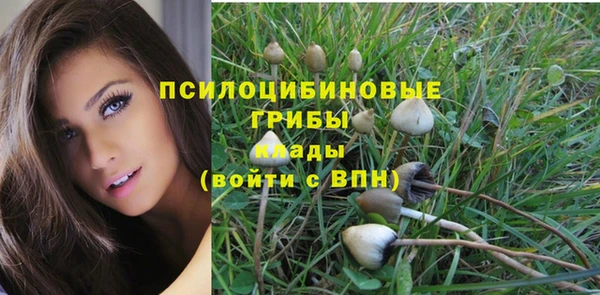 первитин Кинешма