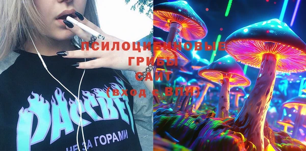 шишки Киреевск