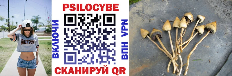 Купить закладки  Бабушкин  Галлюциногенные грибы мицелий 